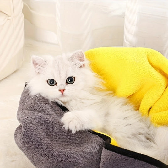 Absorbent Towel / Dog Bathing Towel