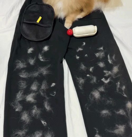 Pet Hair Removal & Grooming Gloves