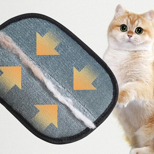 Portable Washable Pet Hair Remover Glove