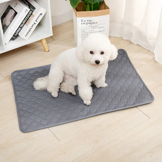 Reusable Dog Pee Pad