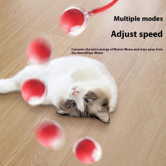 Automatic Rolling Ball