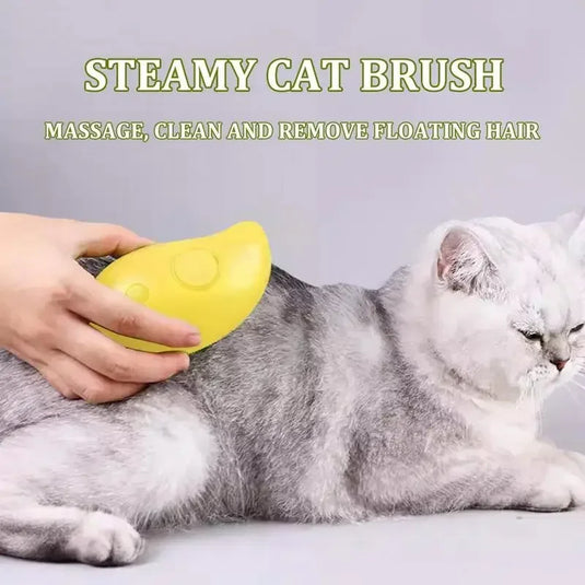 Steam Brush / Electric Sprayer