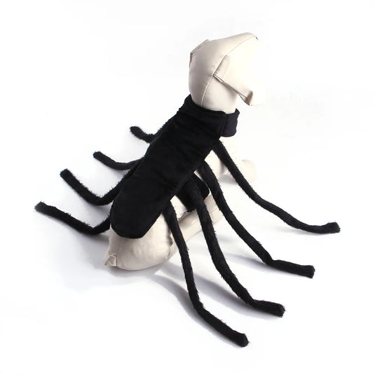 Funny Spider Costume for Small and Medium Dogs and Cats