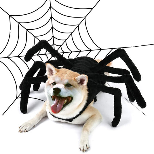 Funny Spider Costume for Small and Medium Dogs and Cats
