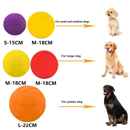 Multifunction Training Toys