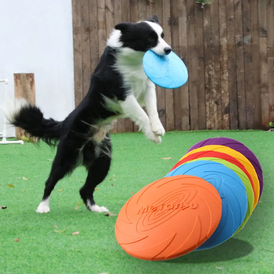 Multifunction Training Toys
