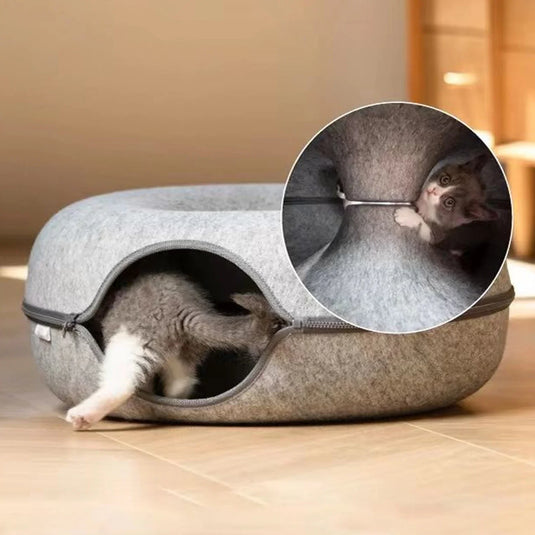 Cat Donut Tunnel