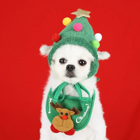 Christmas Hat for Dogs