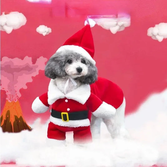 Pet Santa Costume