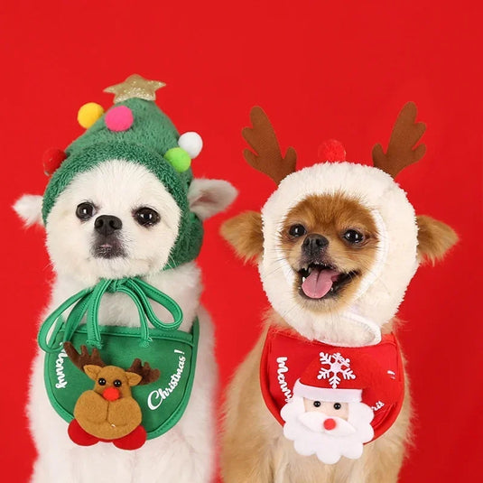 Christmas Hat for Dogs