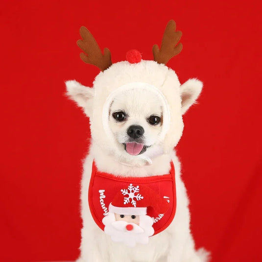 Christmas Hat for Dogs