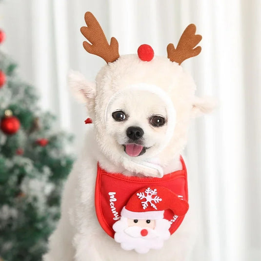 Christmas Hat for Dogs