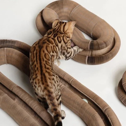 Interactive Cat Scratching Board with Ball