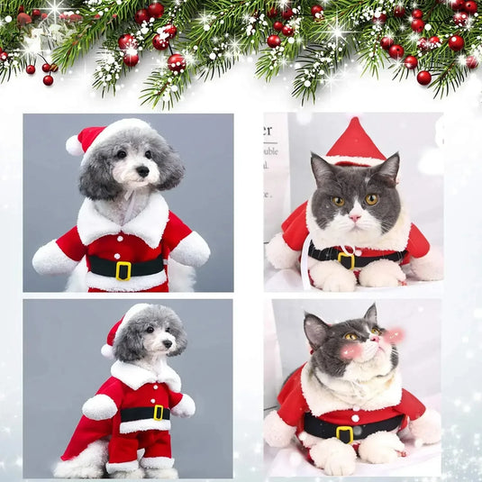 Pet Santa Costume